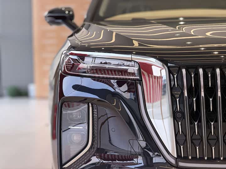 Фото 4 - Hongqi H9