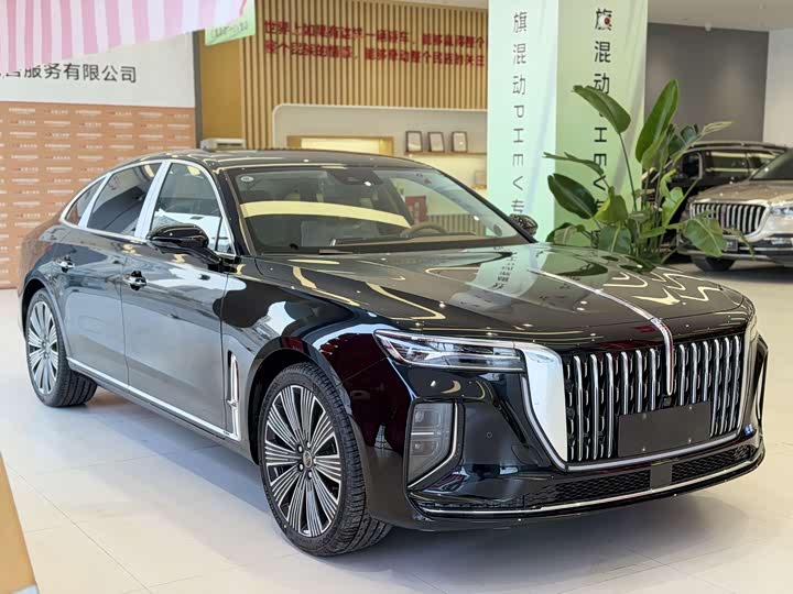 Фото 6 - Hongqi H9