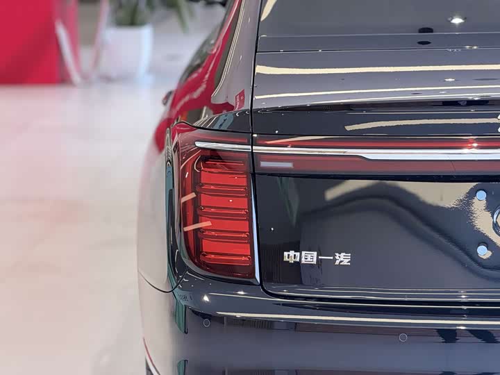 Фото 8 - Hongqi H9