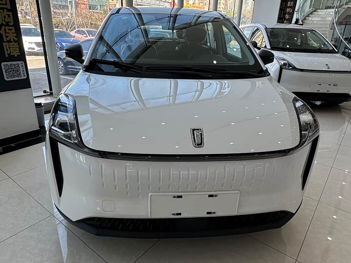 Фото 1 - Bestune NAT