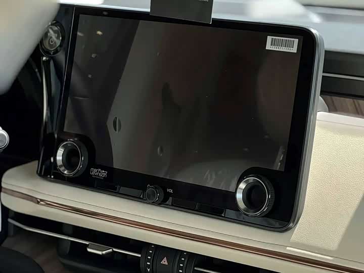 Фото 11 - Lexus LM