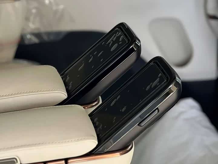 Фото 12 - Lexus LM