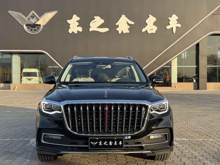 Фото 2 - Hongqi HS7
