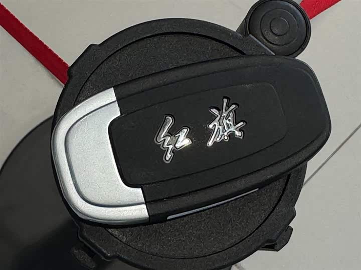 Фото 22 - Hongqi LS7 (Guoyao)