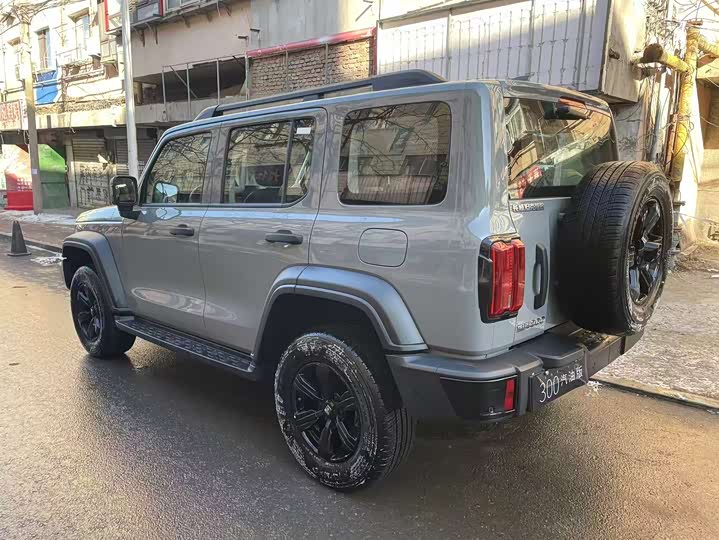 Фото 4 - Tank 300