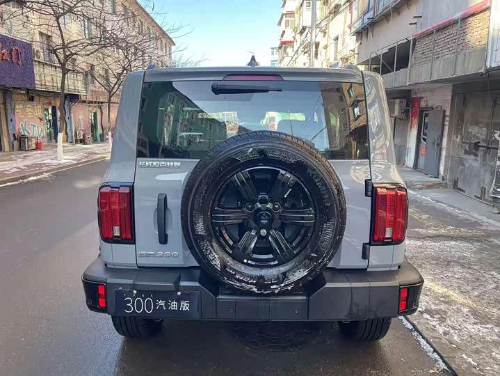 Фото 5 - Tank 300