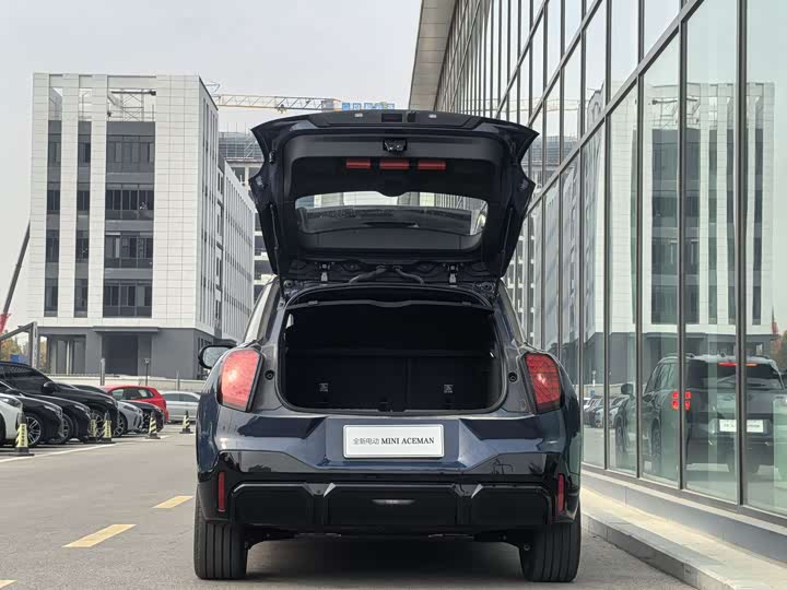 Фото 5 - Mini Aceman