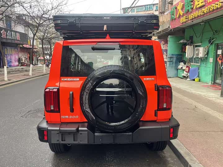 Фото 2 - Tank 300