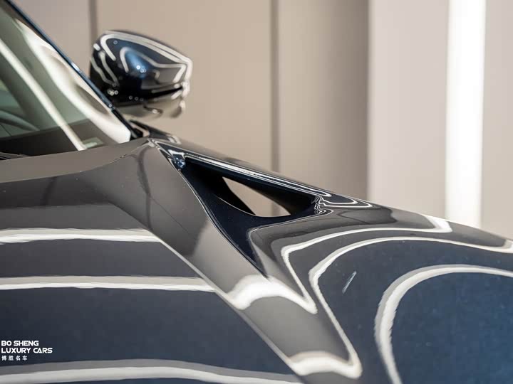 Фото 9 - Ferrari Purosangue