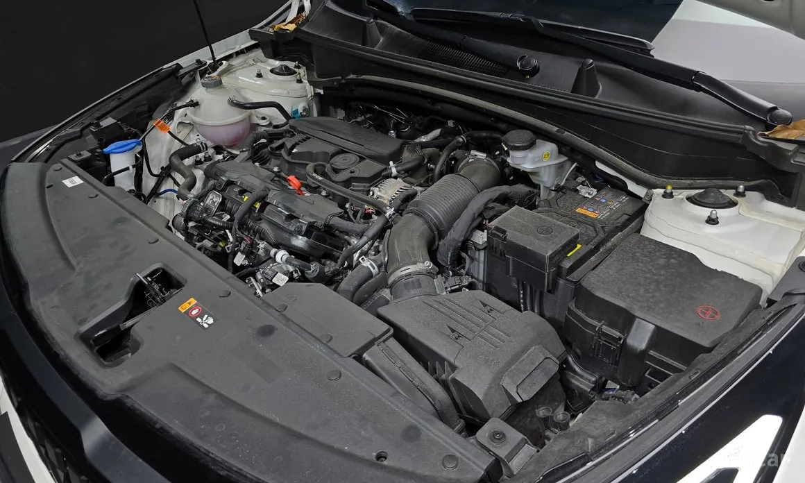 Фото 6 - Kia Sportage