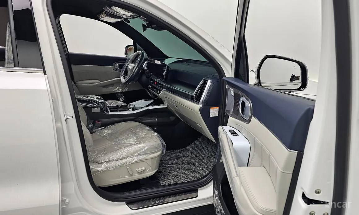 Фото 10 - Kia Sorento