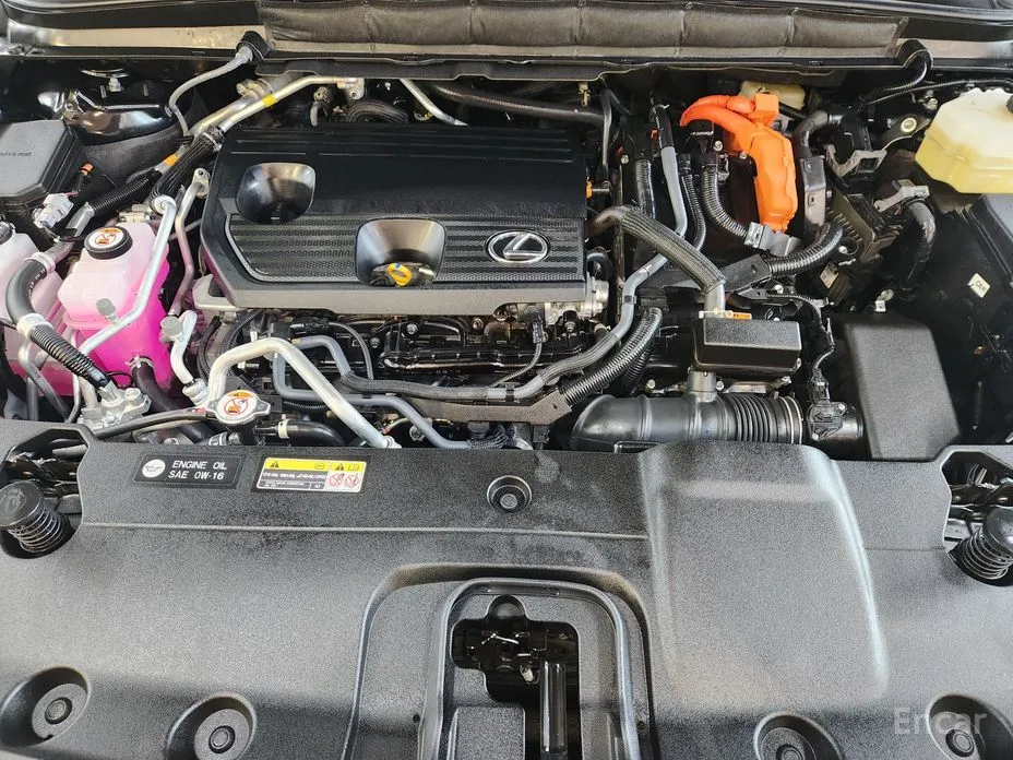 Фото 6 - Lexus RX