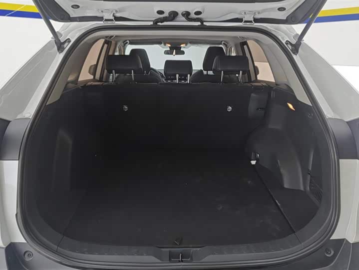 Photo 4 - Toyota Wildlander