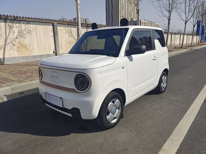 Фото 1 - Geely Galaxy Panda Mini