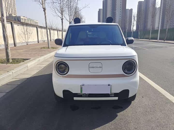 Фото 2 - Geely Galaxy Panda Mini