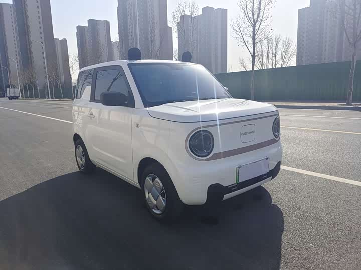 Фото 3 - Geely Galaxy Panda Mini
