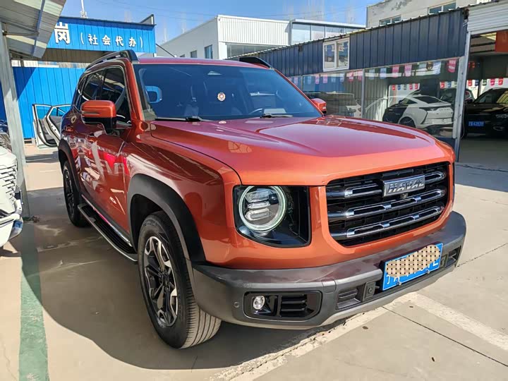 Фото 3 - Haval Dargo