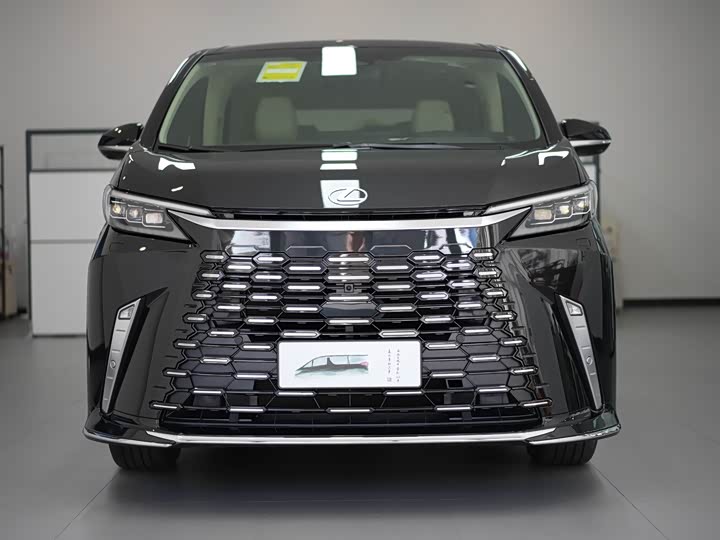 Фото 5 - Lexus LM