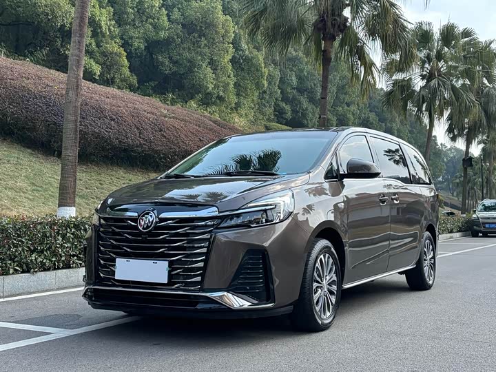 Фото 1 - Buick GL8 ES