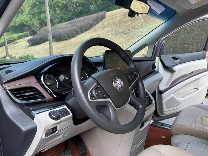 Фото 7 - Buick GL8 ES