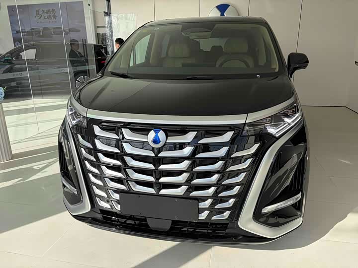 Фото 1 - Denza D9