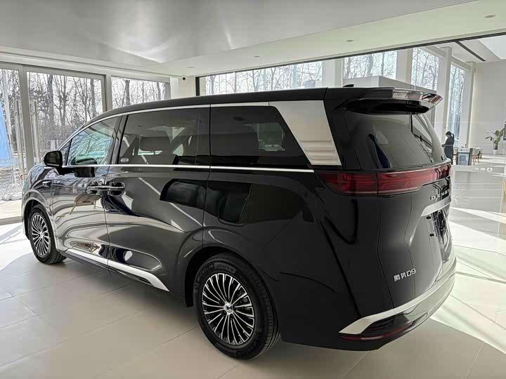 Фото 3 - Denza D9