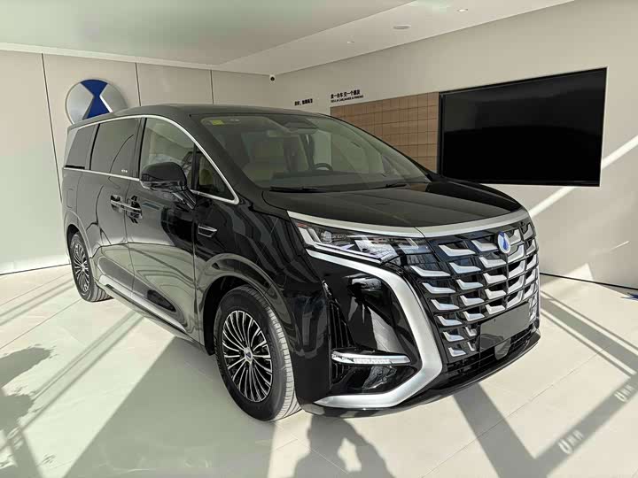 Фото 6 - Denza D9