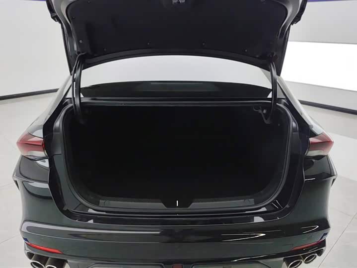 Фото 4 - GAC Trumpchi Empow R