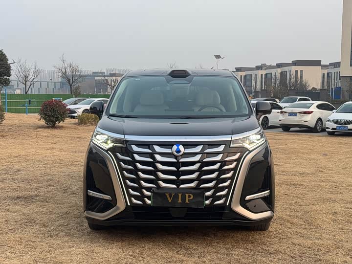 Фото 2 - Denza D9