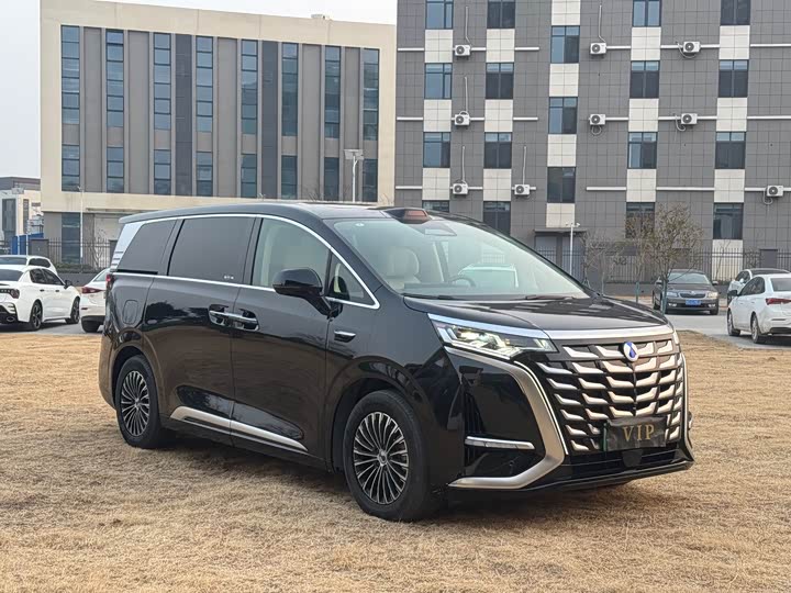 Фото 3 - Denza D9