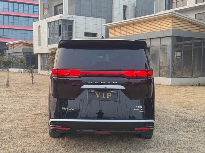 Фото 5 - Denza D9