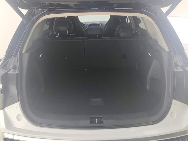 Фото 4 - Hongqi HS3 Hybrid