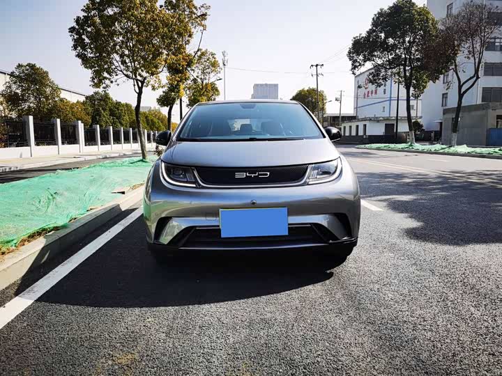 Фото 2 - BYD Dolphin