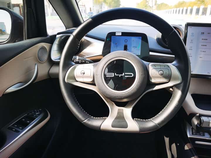 Фото 7 - BYD Dolphin