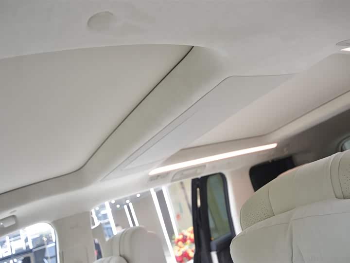 Фото 9 - Buick OMPV