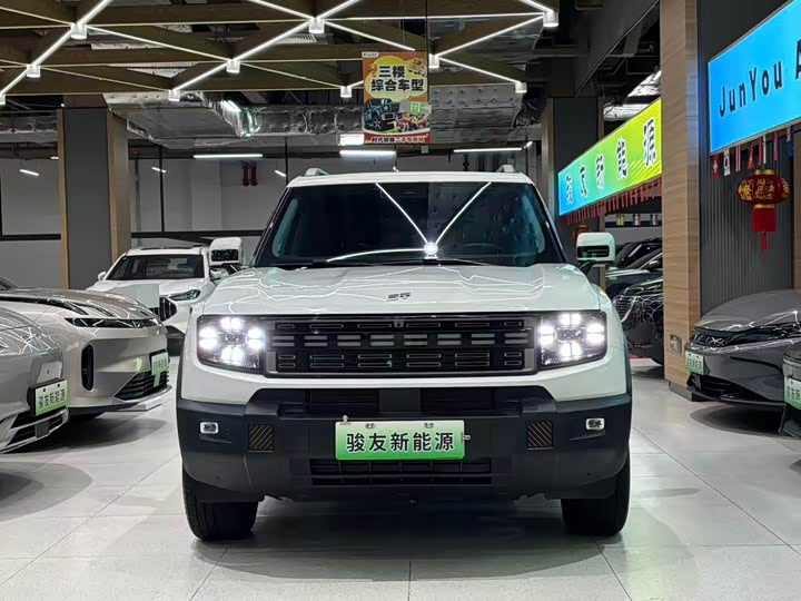 Фото 3 - Jetour Shanhai T1