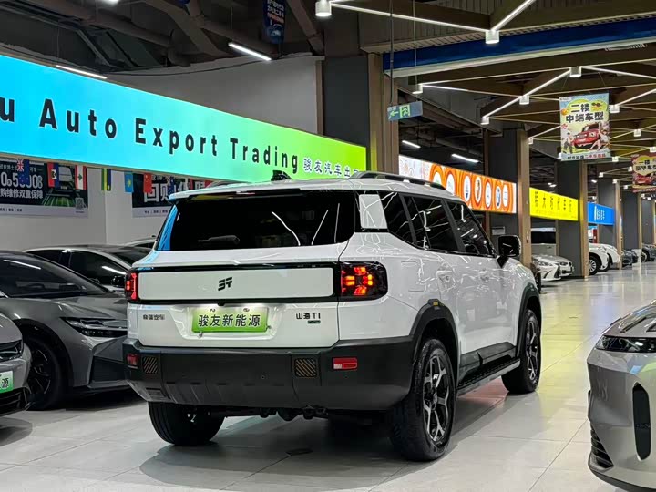 Фото 4 - Jetour Shanhai T1