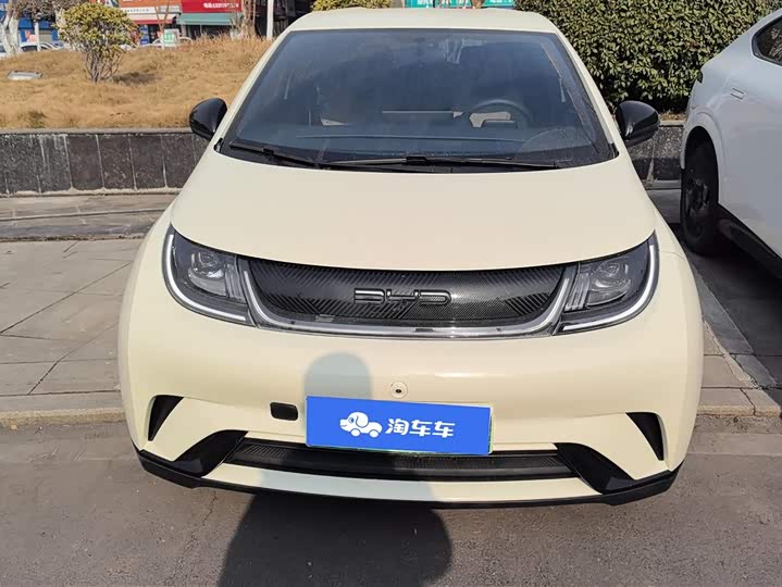 Фото 2 - BYD Dolphin