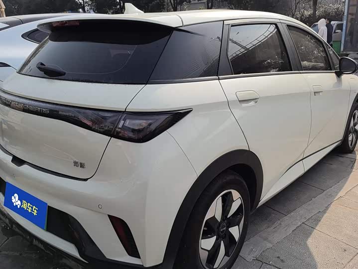 Фото 3 - BYD Dolphin