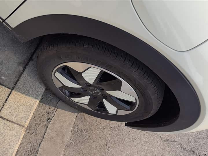 Фото 6 - BYD Dolphin