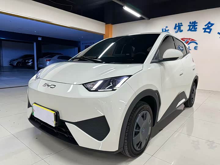 Фото 1 - BYD Seagull