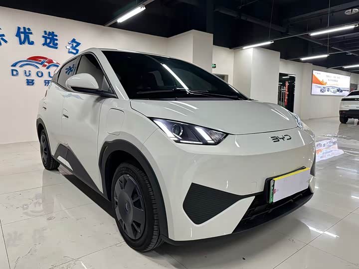 Фото 3 - BYD Seagull