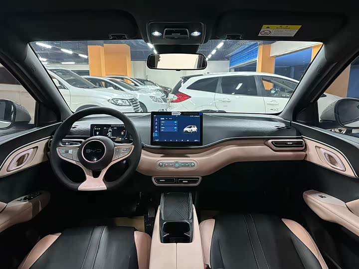 Фото 4 - BYD Seagull