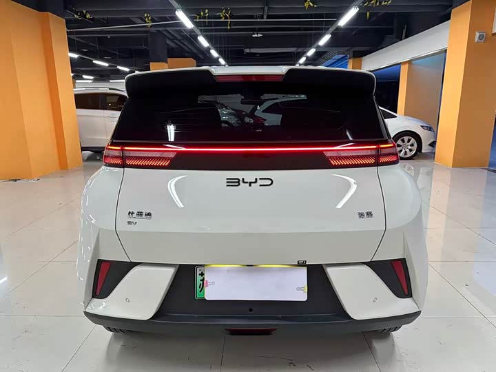 Фото 8 - BYD Seagull