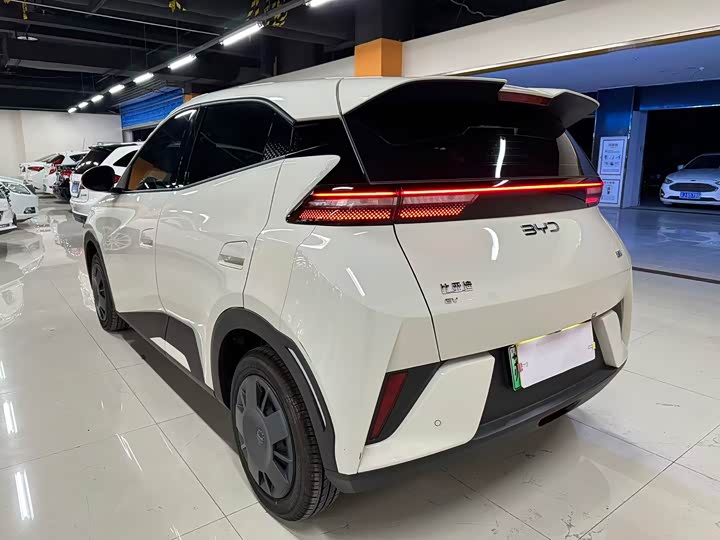 Фото 9 - BYD Seagull