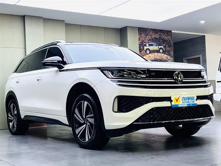 Фото 3 - Volkswagen Tavendor