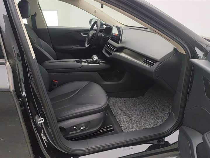 Фото 8 - Hongqi E-QM5