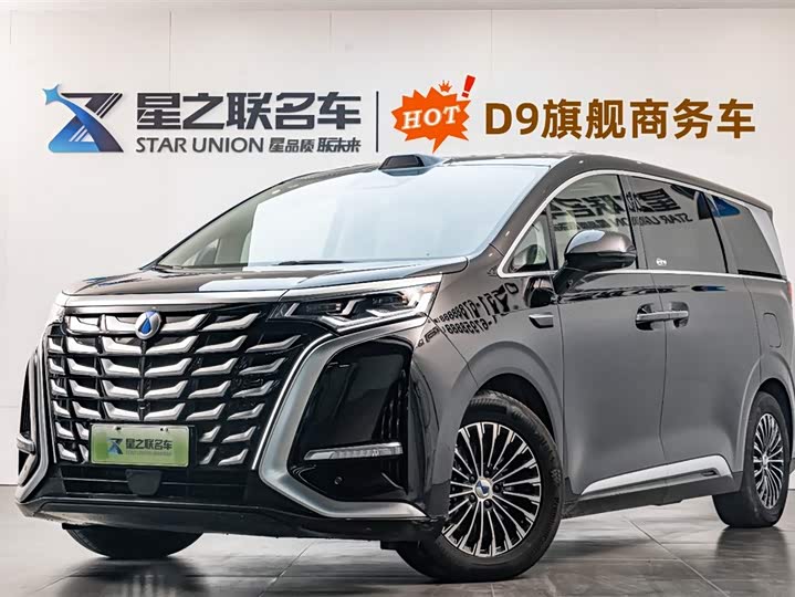 Фото 1 - Denza D9