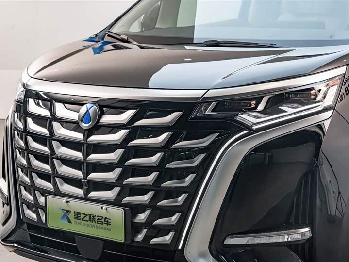 Фото 4 - Denza D9