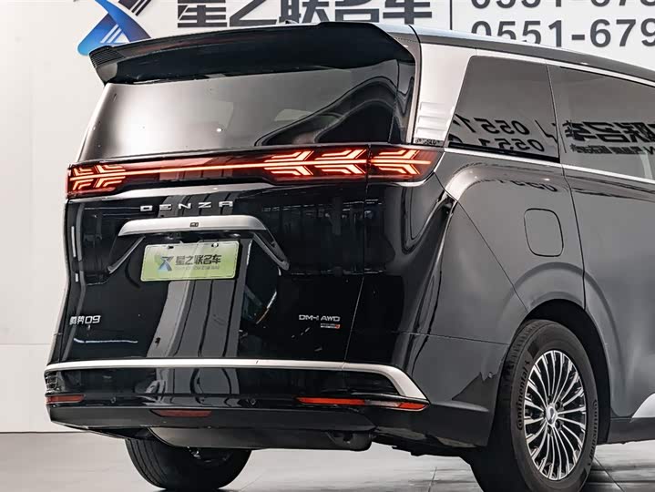 Фото 8 - Denza D9